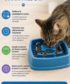 Plato comedero anti ansiedad interactivo 22 x 20 x 5 cm