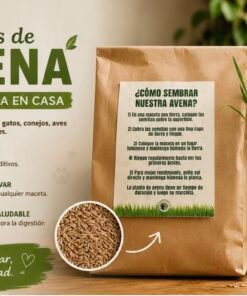 Semillas de Avena para gatos 70 g